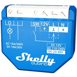 Shelly Wave 1